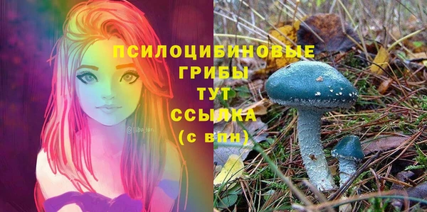 2c-b Арсеньев