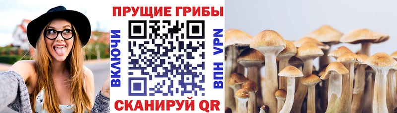 Псилоцибиновые грибы MAGIC MUSHROOMS  Аткарск 